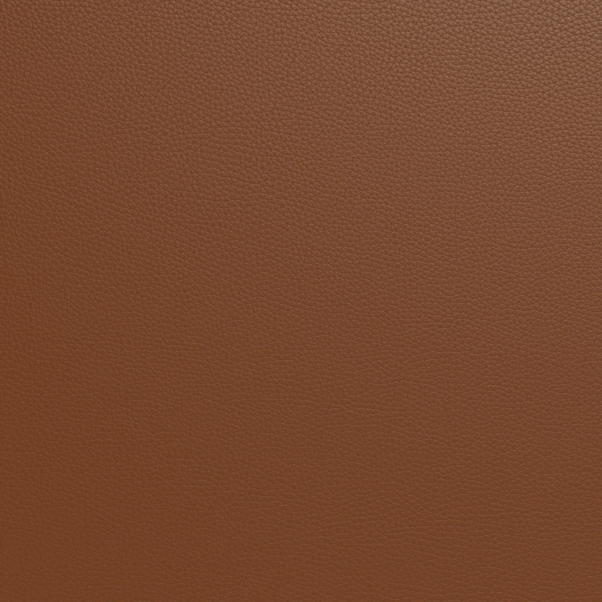 Brentwood 56" Leather Armless Loveseat