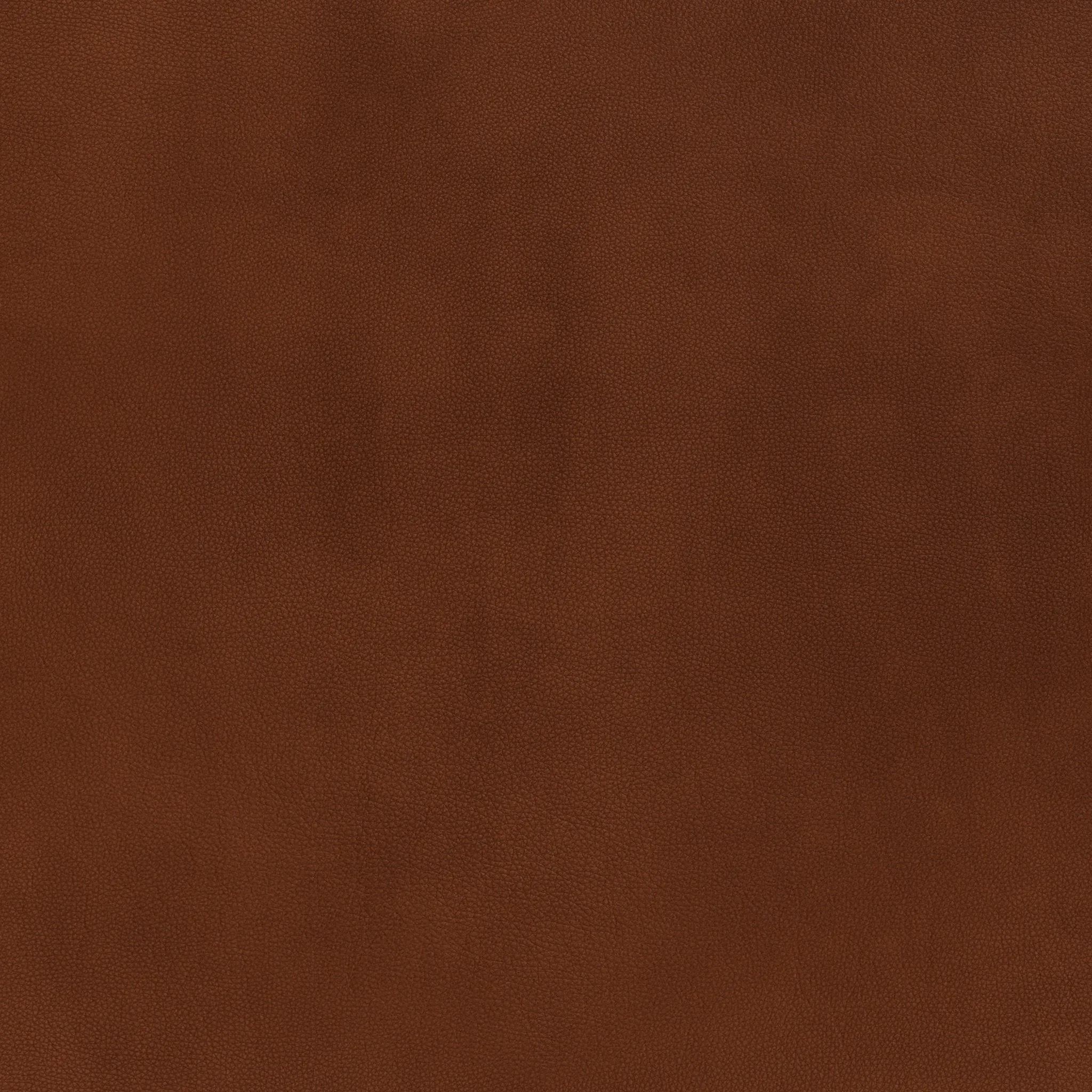 Brentwood 56" Leather Armless Loveseat