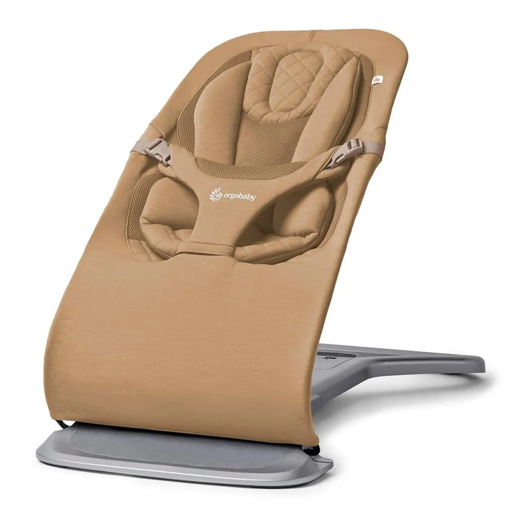 Ergobaby Evolve 3 in 1 Bouncer