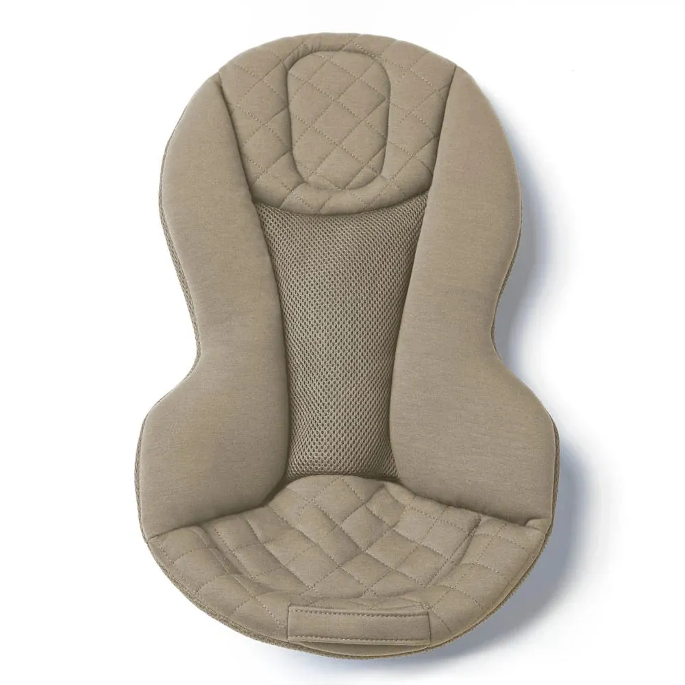 Ergobaby Evolve 3 in 1 Bouncer