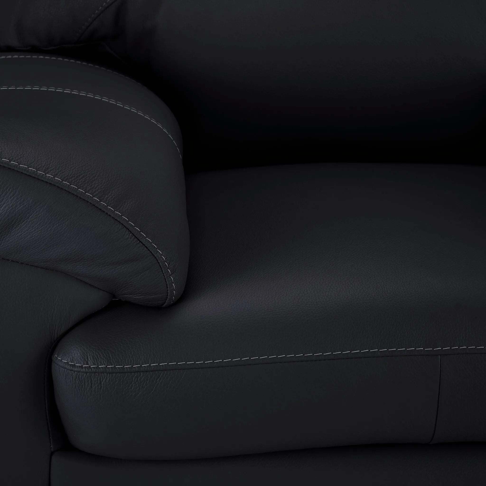 Raphael Leather Loveseat- Raven