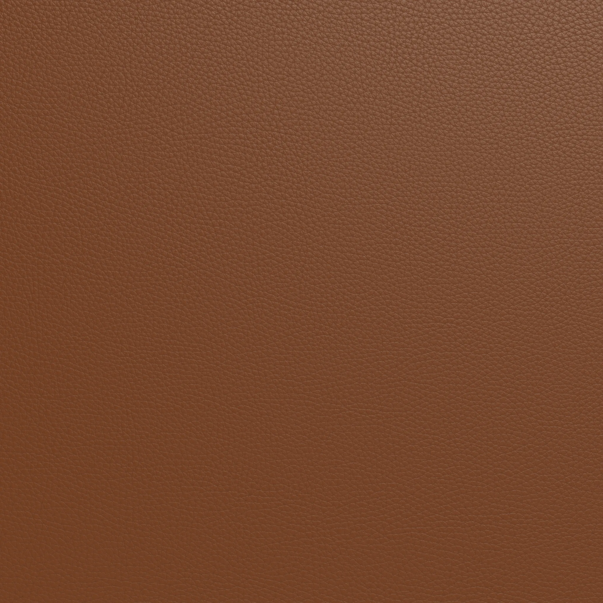 Wallace Leather Untufted Armless Loveseat