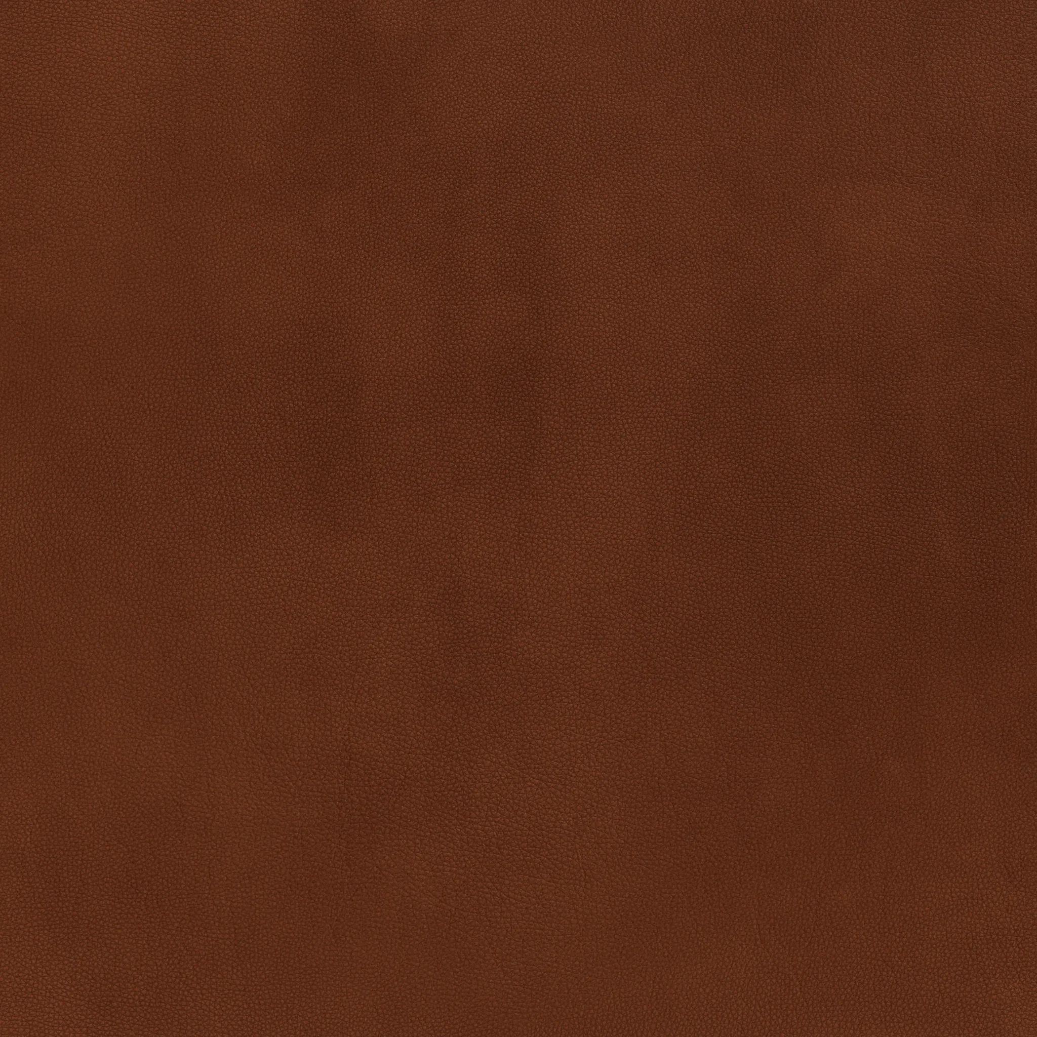 Wallace Leather Untufted Armless Loveseat